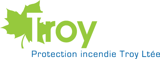 Troy Logo in french